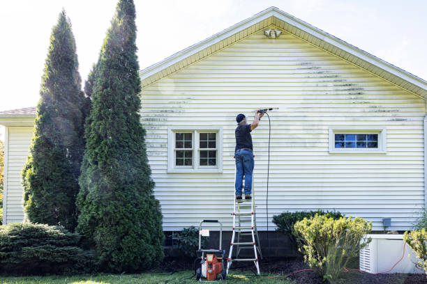 Best Driveway Cleaning and Restoration in Rankin, TX